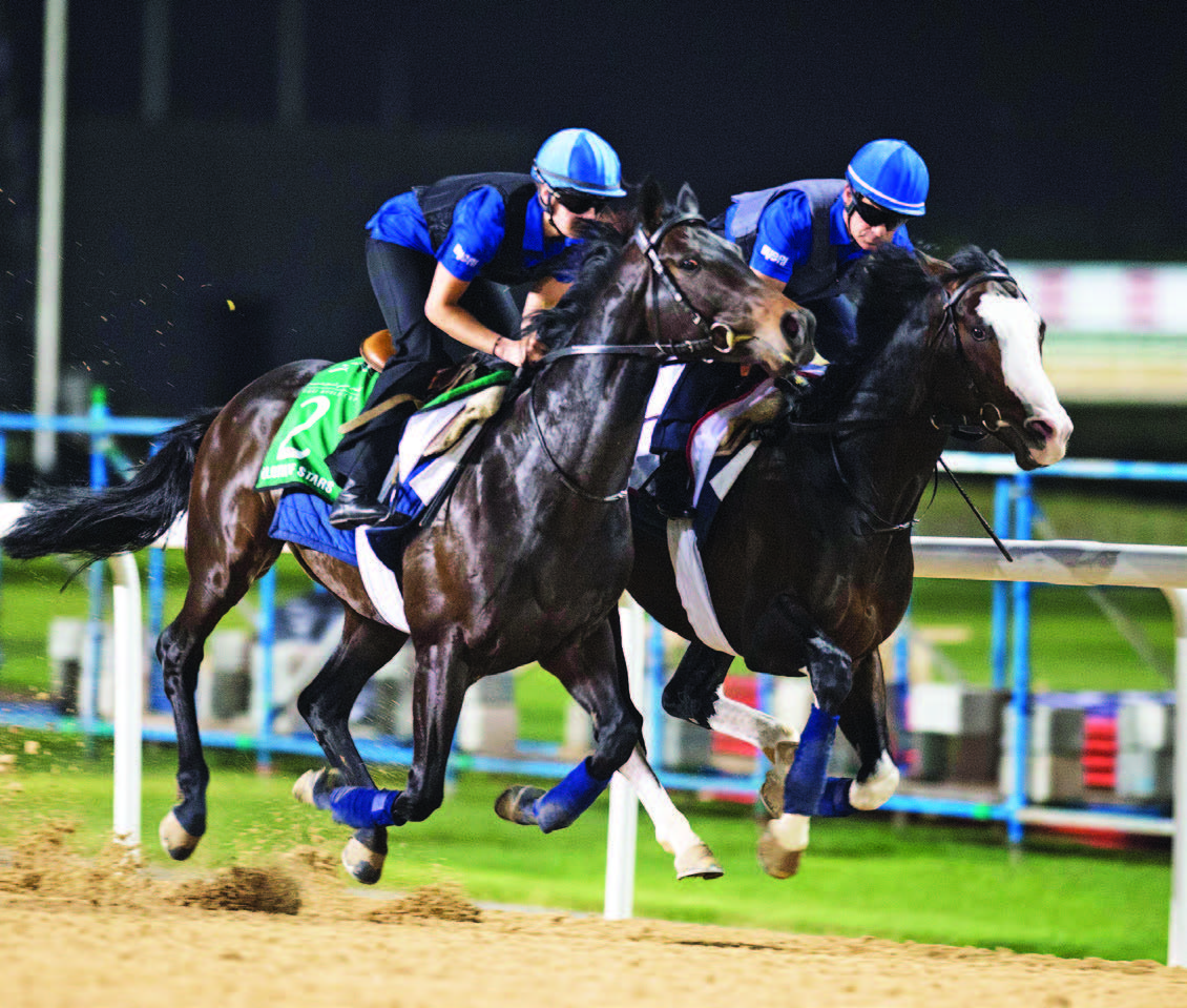 تعرف إلى الخيول الـ3 التي تمث ل الإمارات في الشوط الرئيسي لكأس دبي العالمي الرياضي فروسية البيان