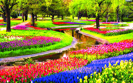 هولندا بلد الورود والطواحين الهوائية الاقتصادي سياحة وسفر البيان