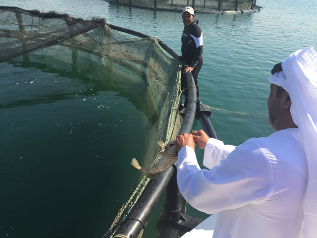 https://media.albayan.ae/inline-images/2301564.jpg