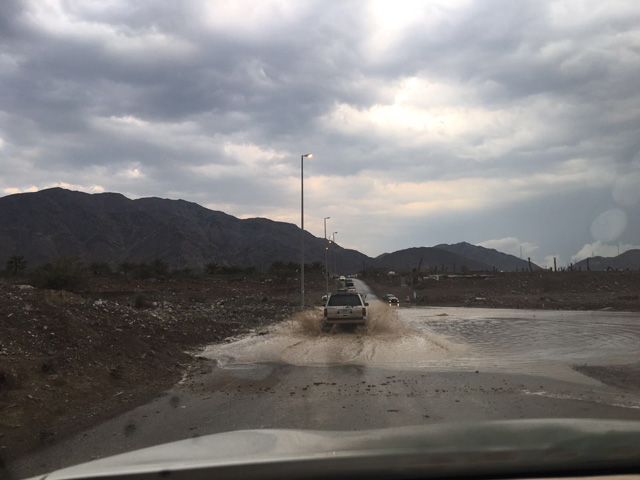 https://media.albayan.ae/inline-images/2574866.jpg