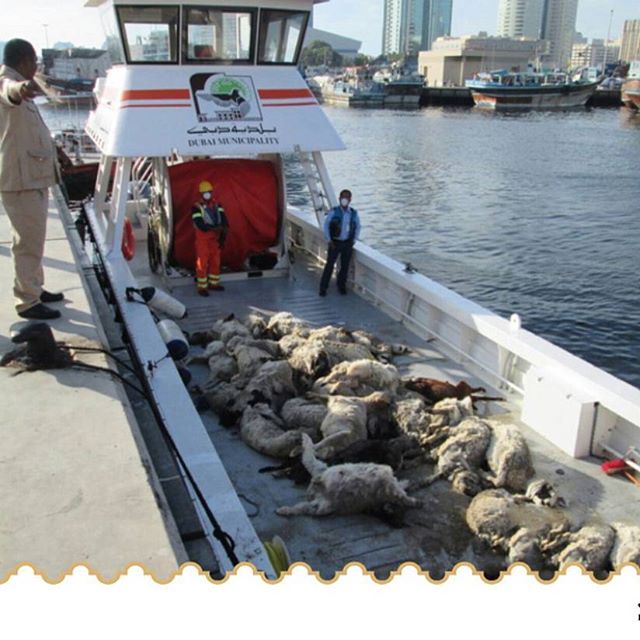 https://media.albayan.ae/inline-images/2623026.jpg