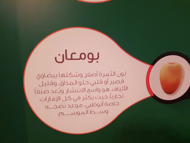 https://media.albayan.ae/inline-images/2682414.jpg